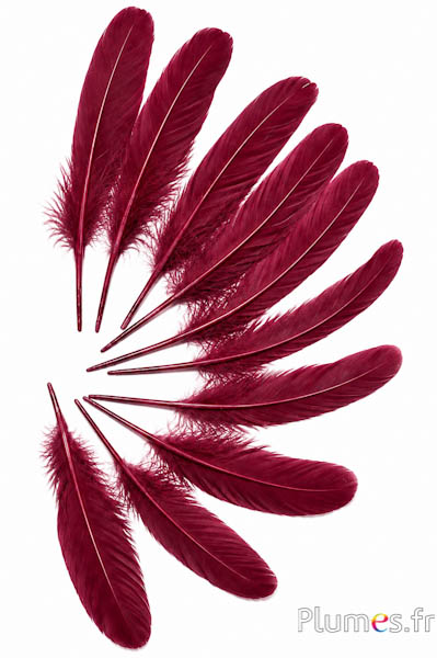 Gans - 15-21 cm - bordeaux